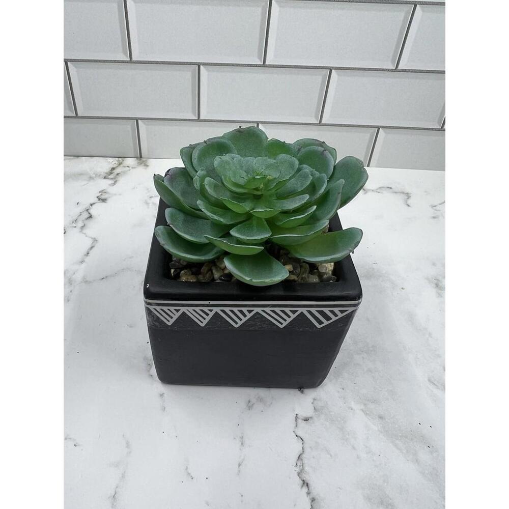 Small Fake Succulent Plant